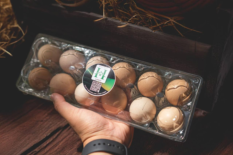 MHC Brown Eggs Dozen