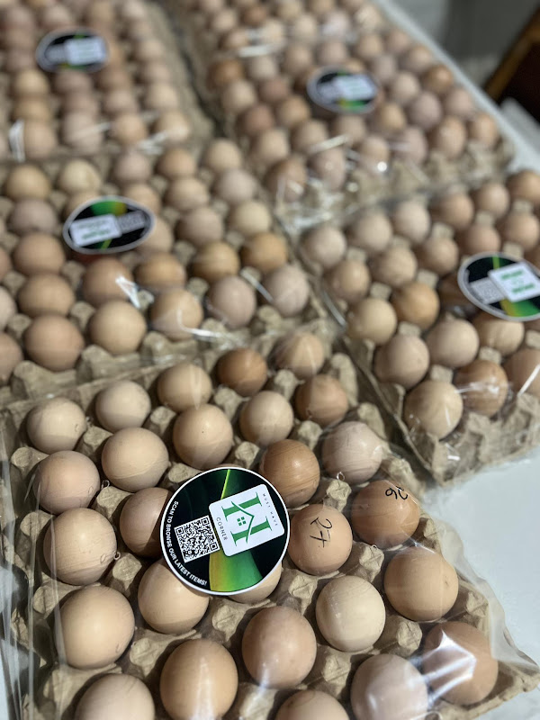 MHC Brown Eggs Tray x30